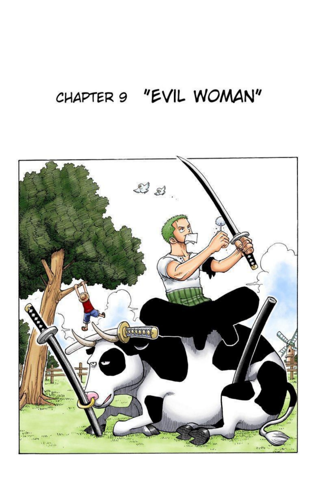 One Piece Volume 2 Page 1