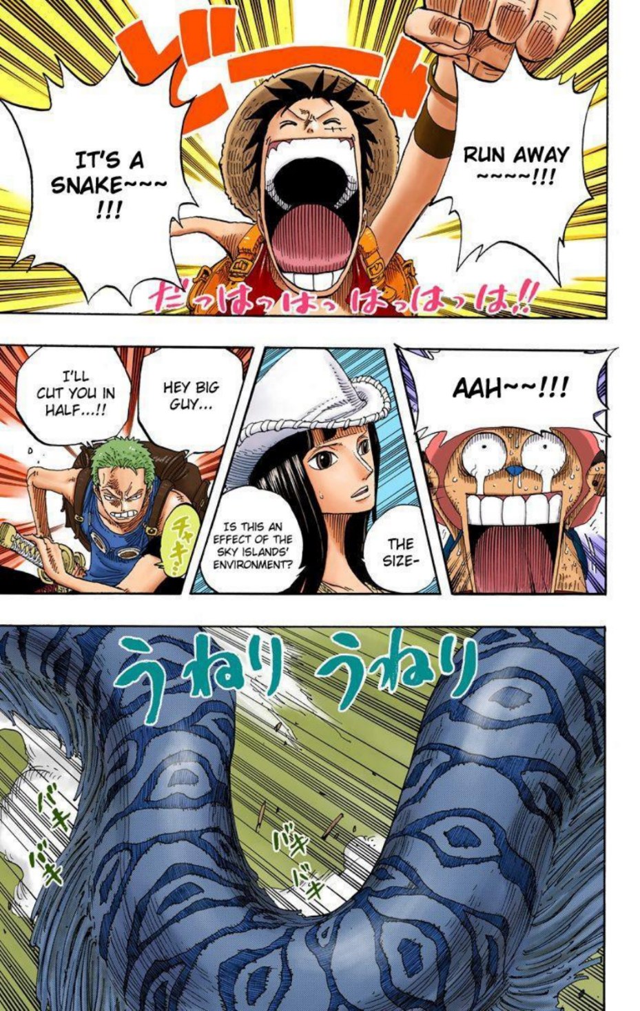 One Piece Volume 27 Page 158