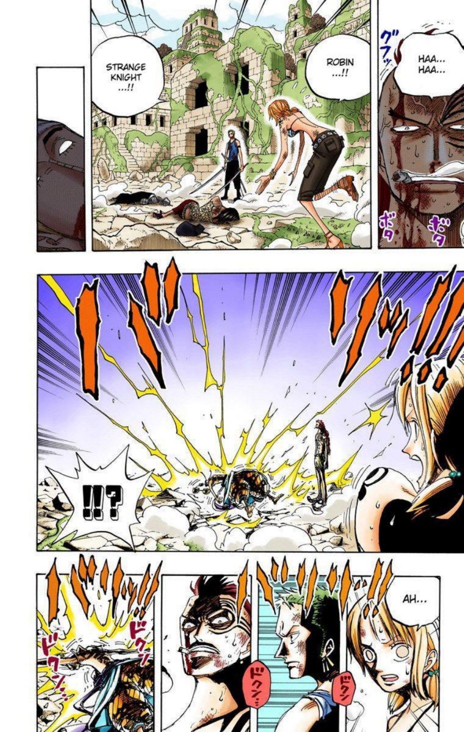 One Piece Volume 29 Page 204
