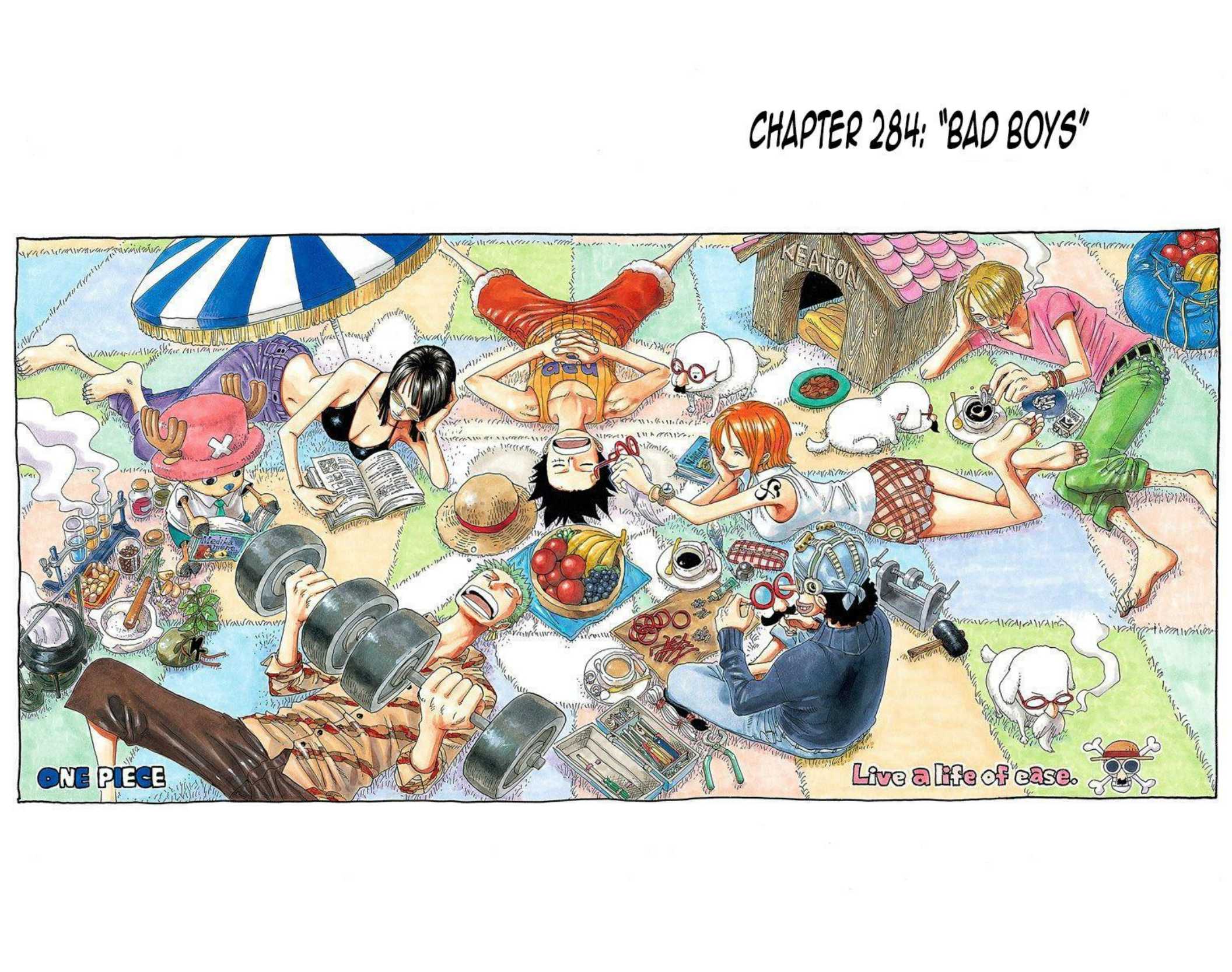 One Piece Volume 30 Page 145