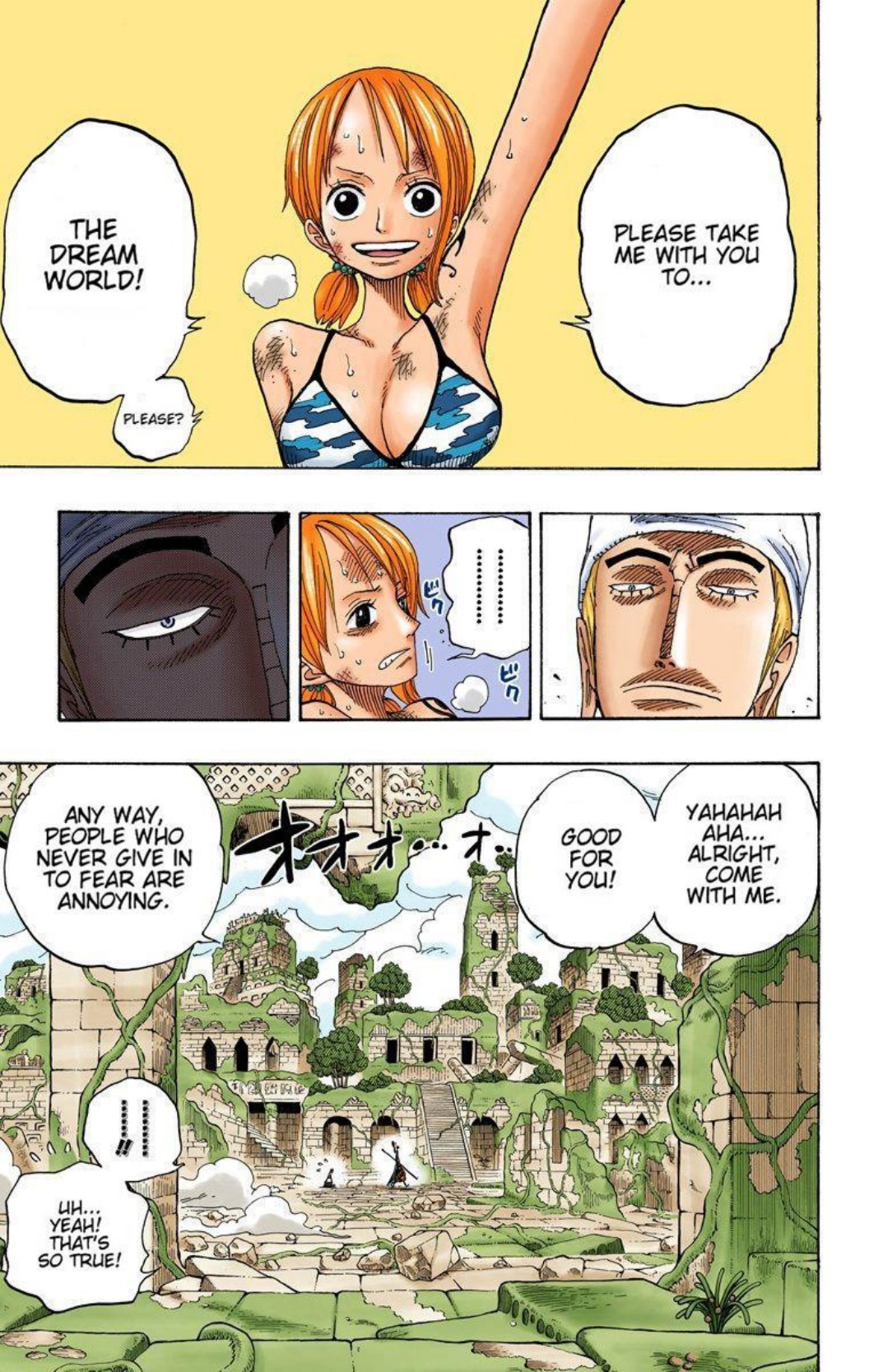 One Piece Volume 30 Page 17