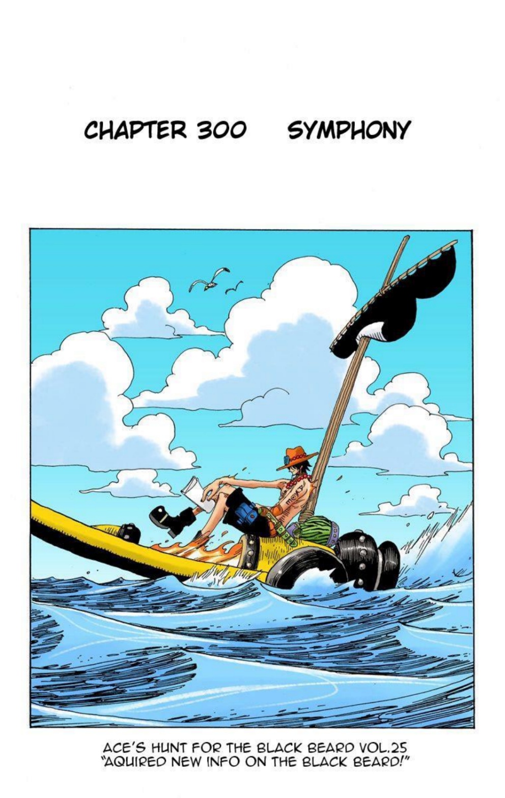 One Piece Volume 32 Page 65