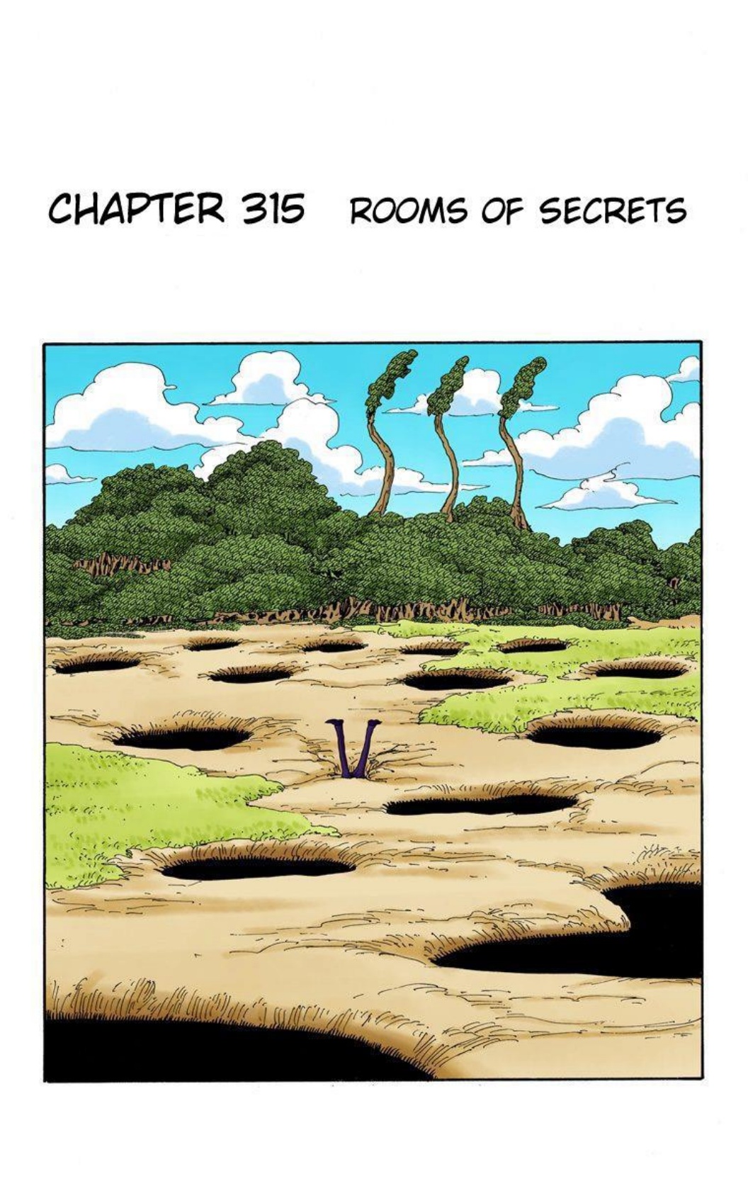 One Piece Volume 33 Page 169