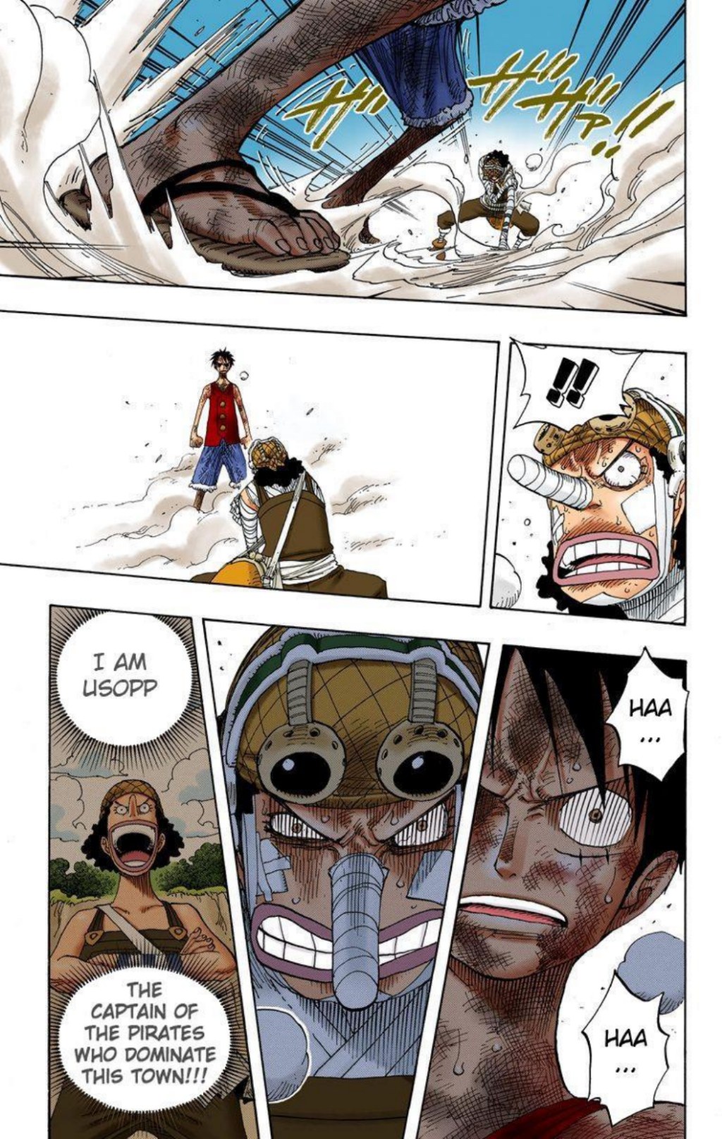 One Piece Volume 35 Page 101
