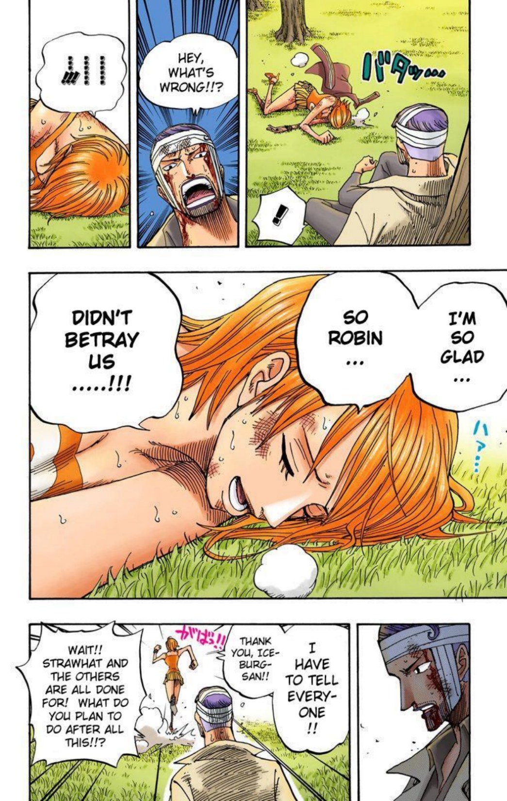 One Piece Volume 38 Page 36