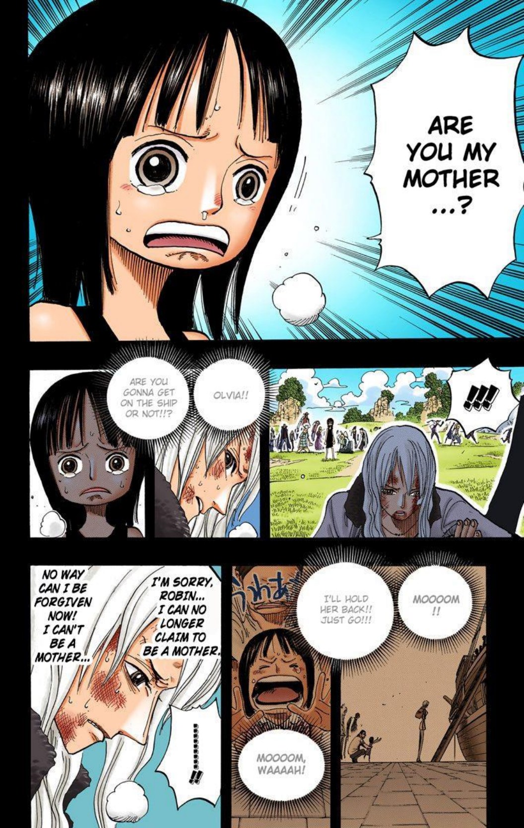 One Piece Volume 41 Page 123