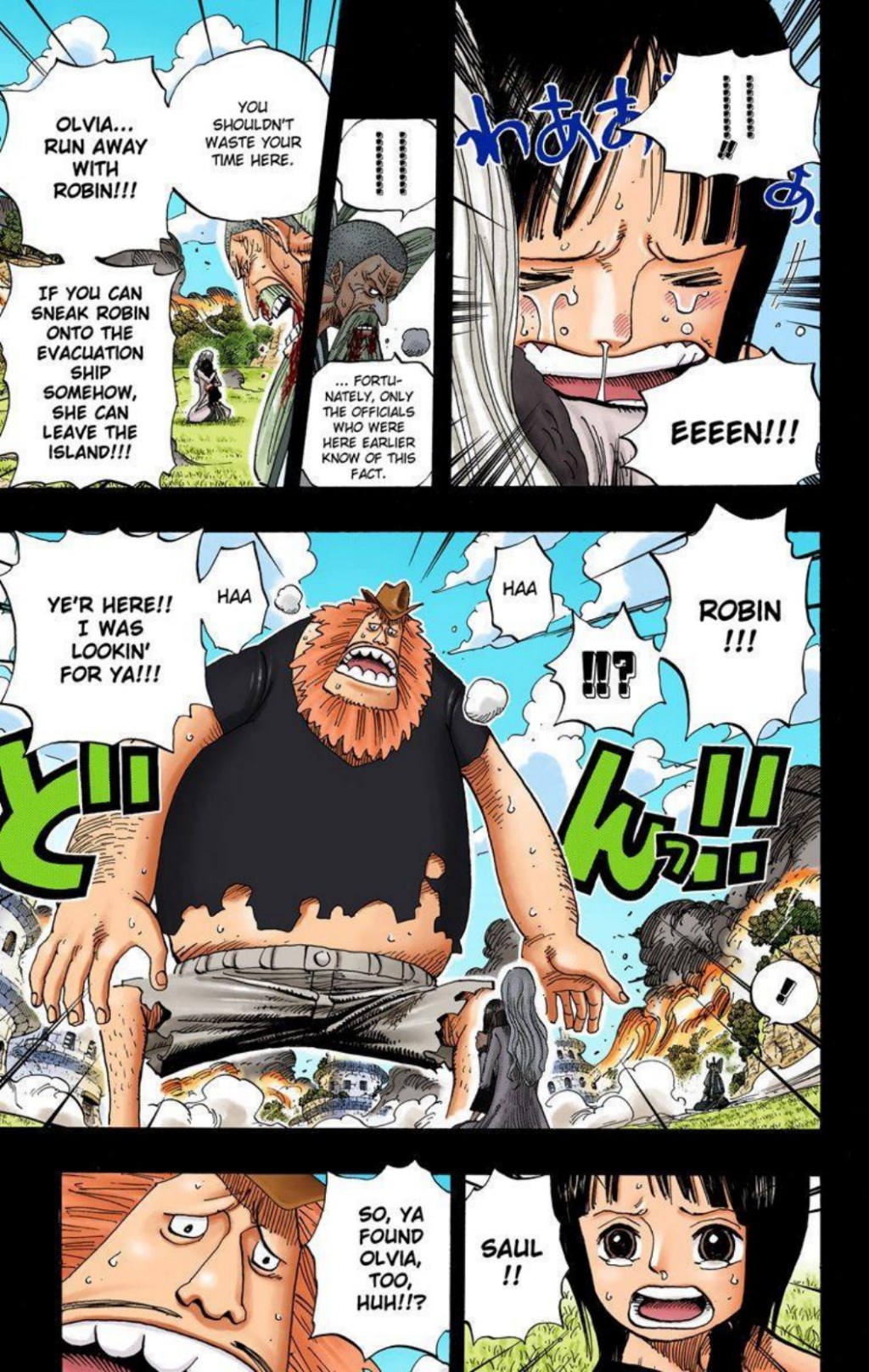One Piece Volume 41 Page 134