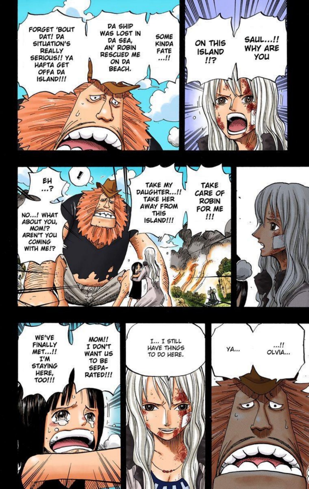 One Piece Volume 41 Page 135