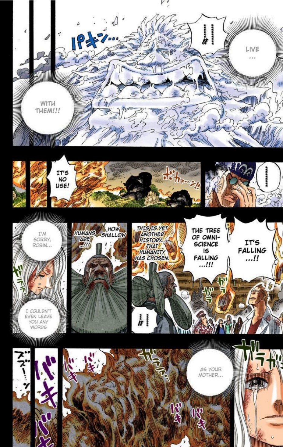 One Piece Volume 41 Page 161