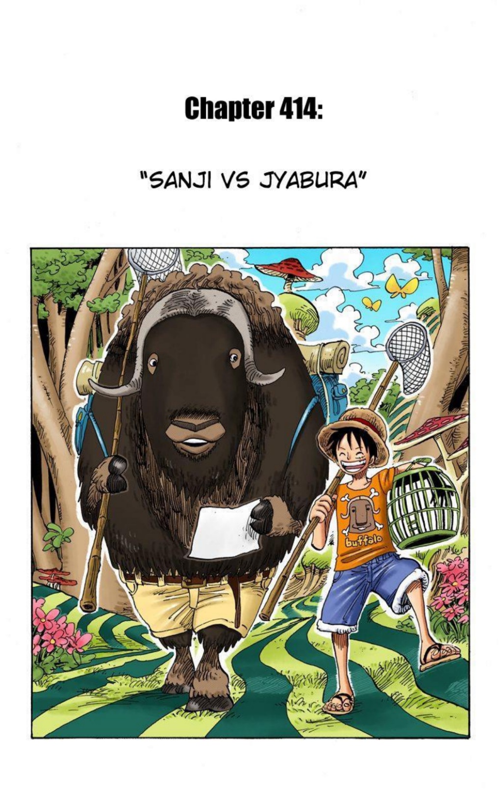 One Piece Volume 43 Page 72