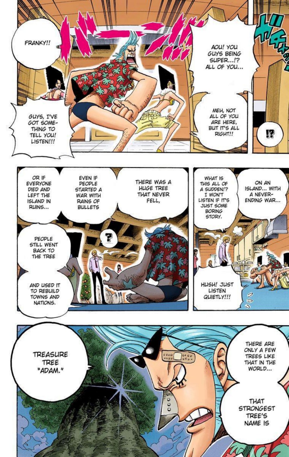One Piece Volume 45 Page 12