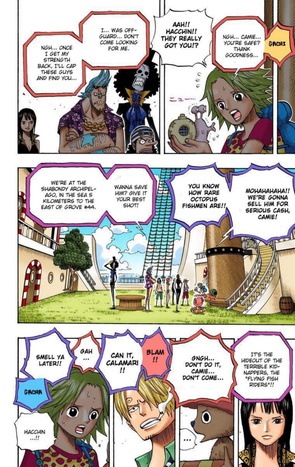 One Piece Volume 50 Page 171