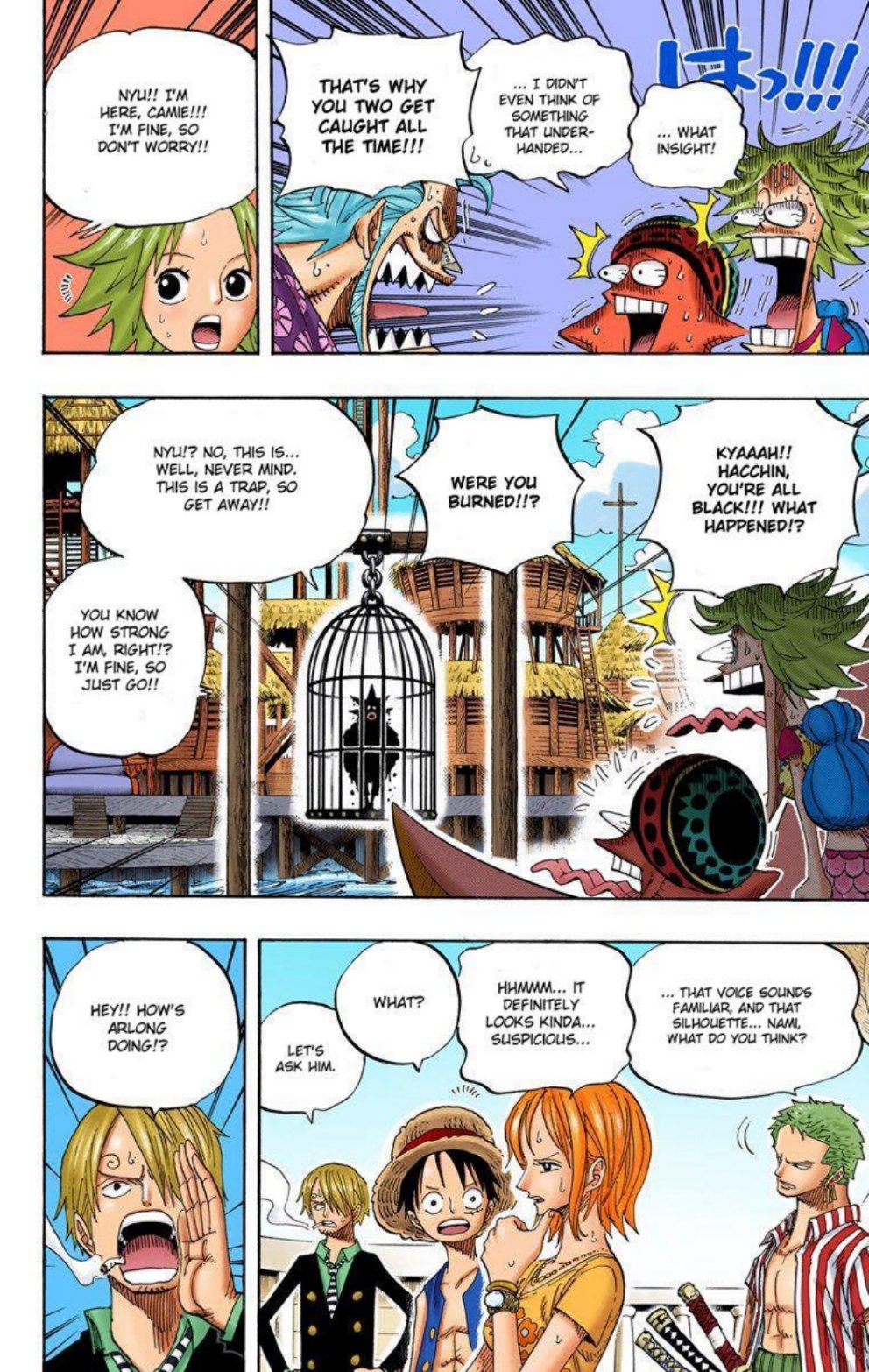 One Piece Volume 51 Page 13