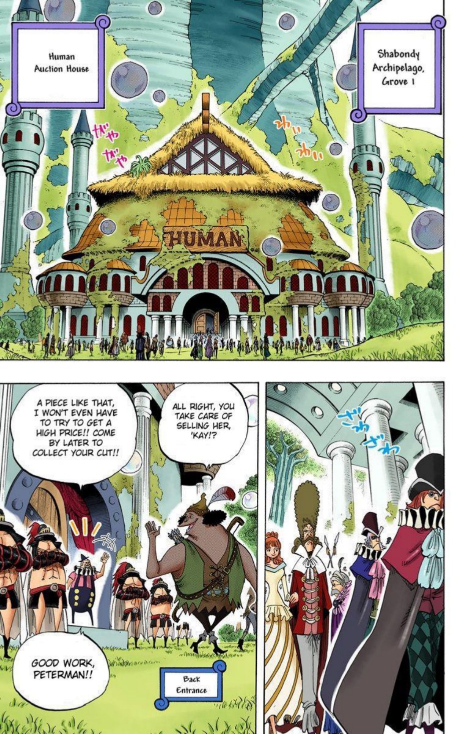 One Piece Volume 51 Page 163