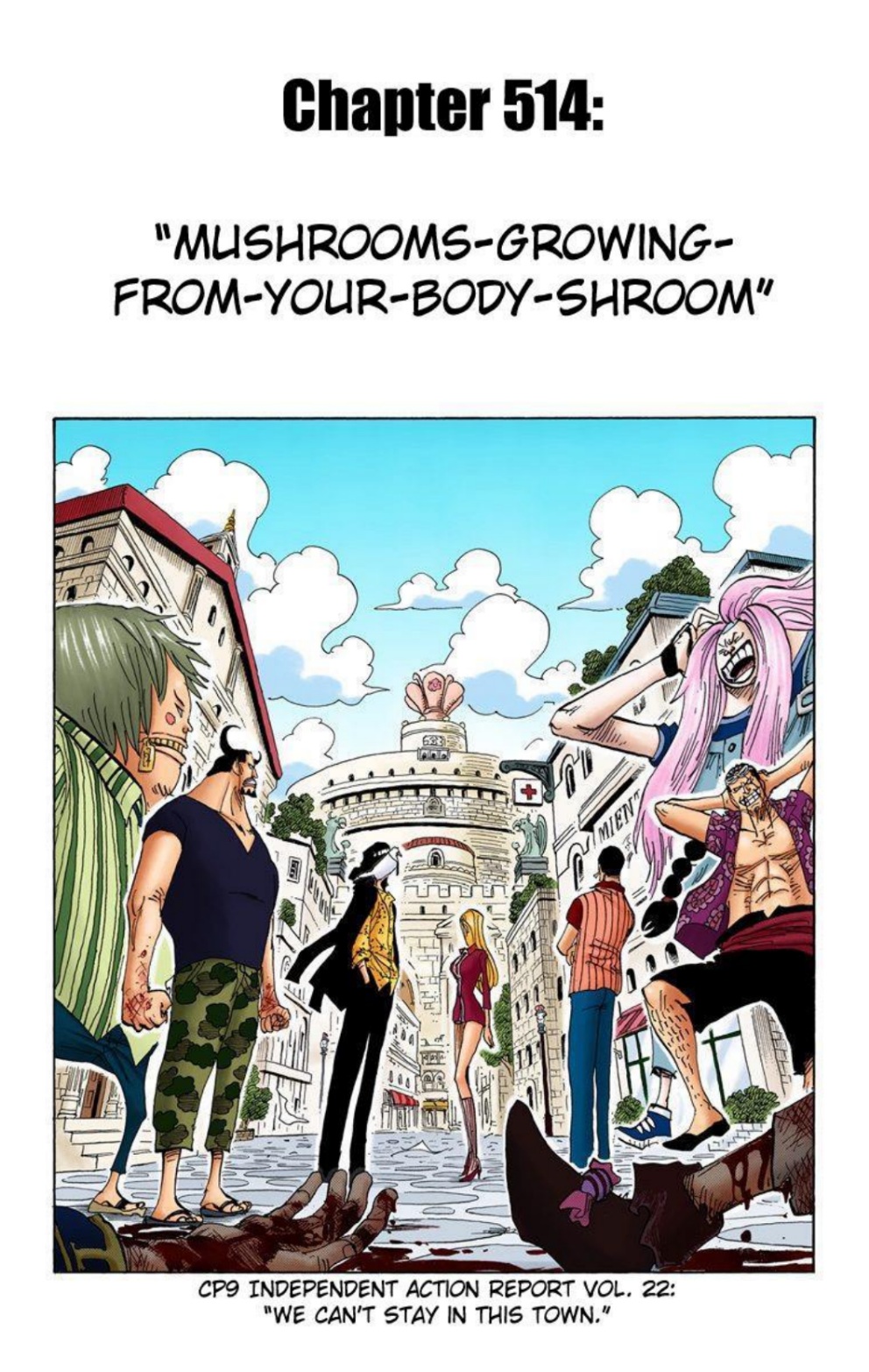 One Piece Volume 53 Page 20