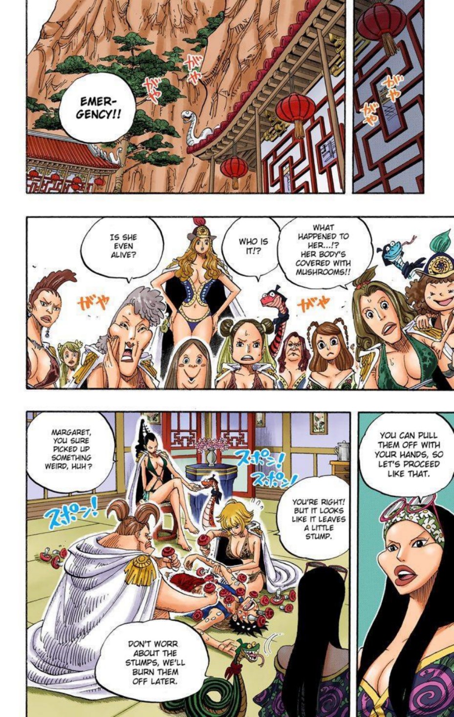One Piece Volume 53 Page 34