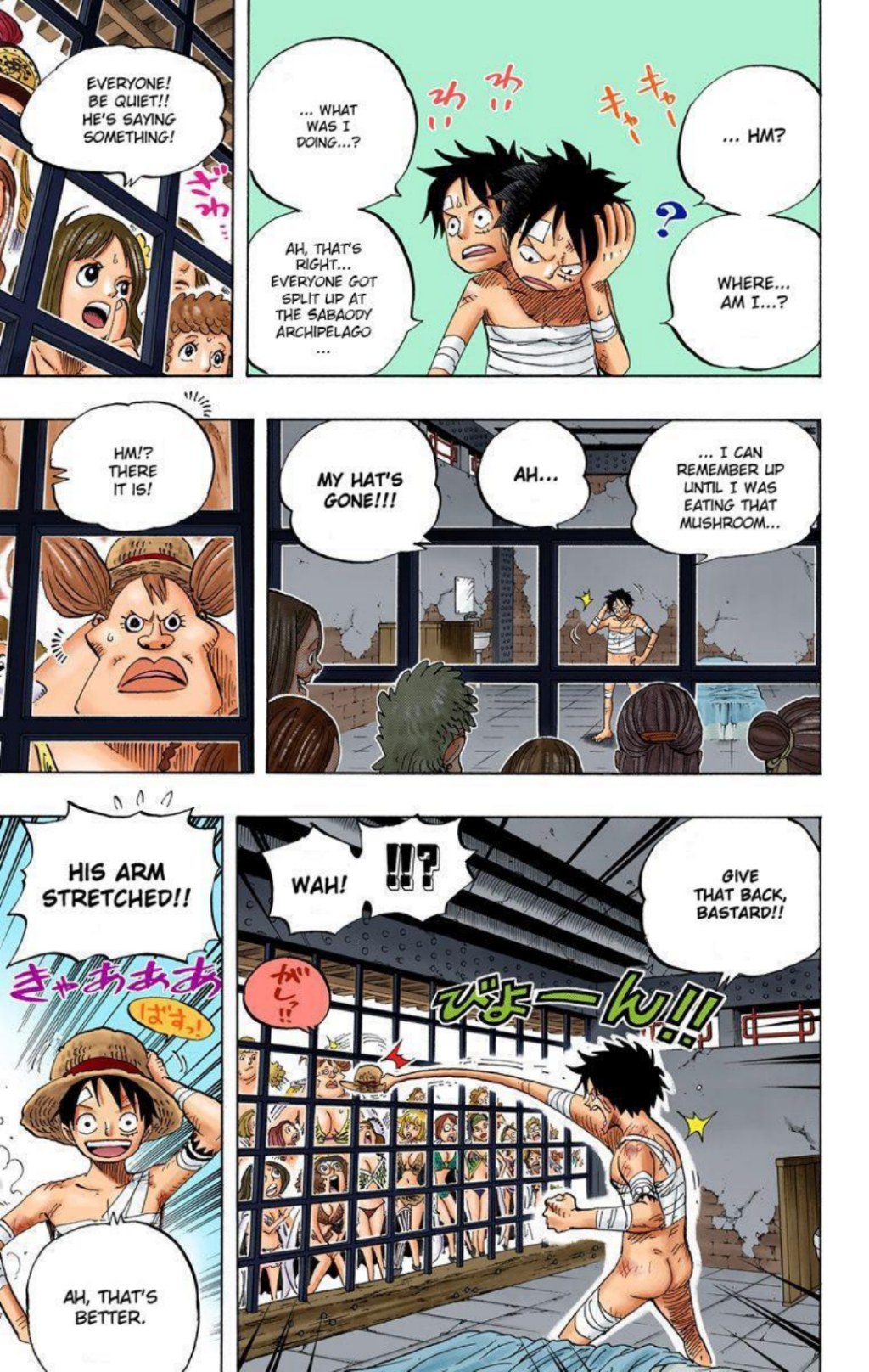One Piece Volume 53 Page 43