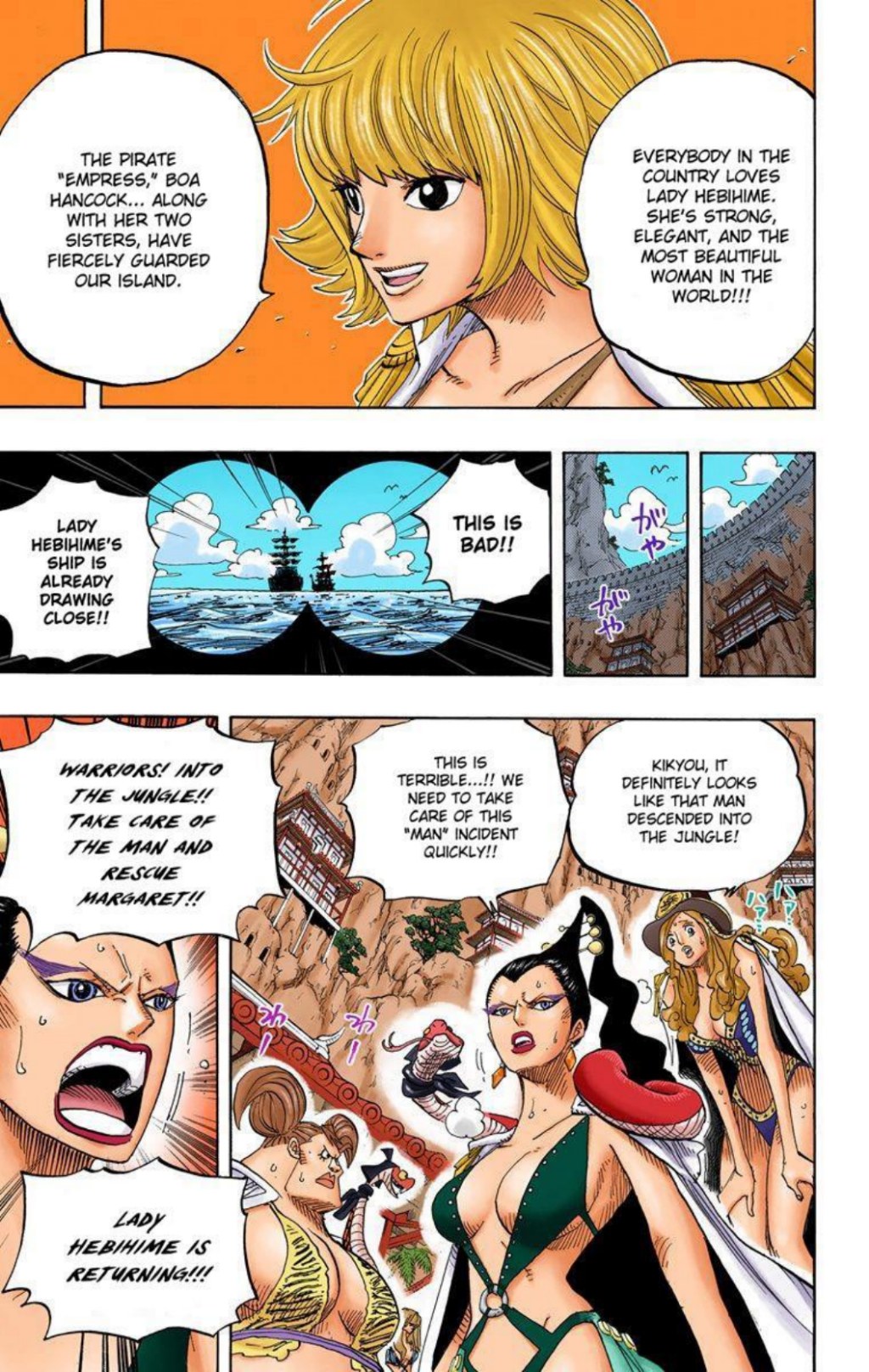 One Piece Volume 53 Page 55