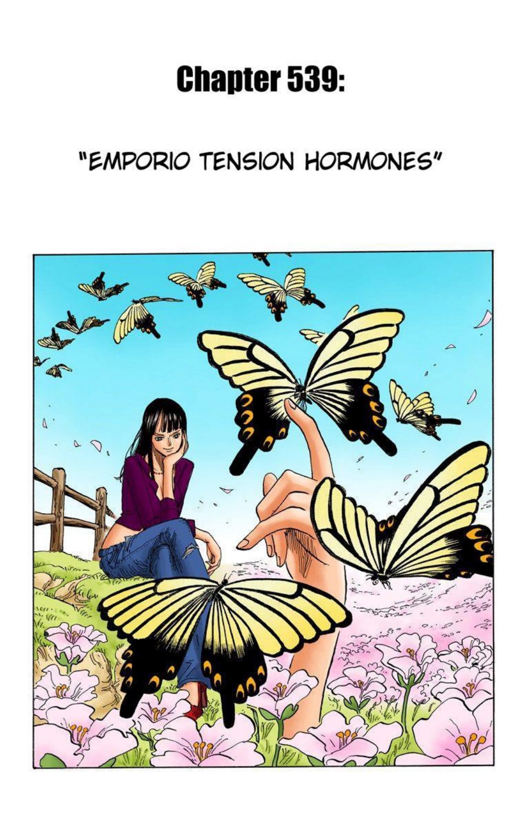 One Piece Volume 55 Page 108