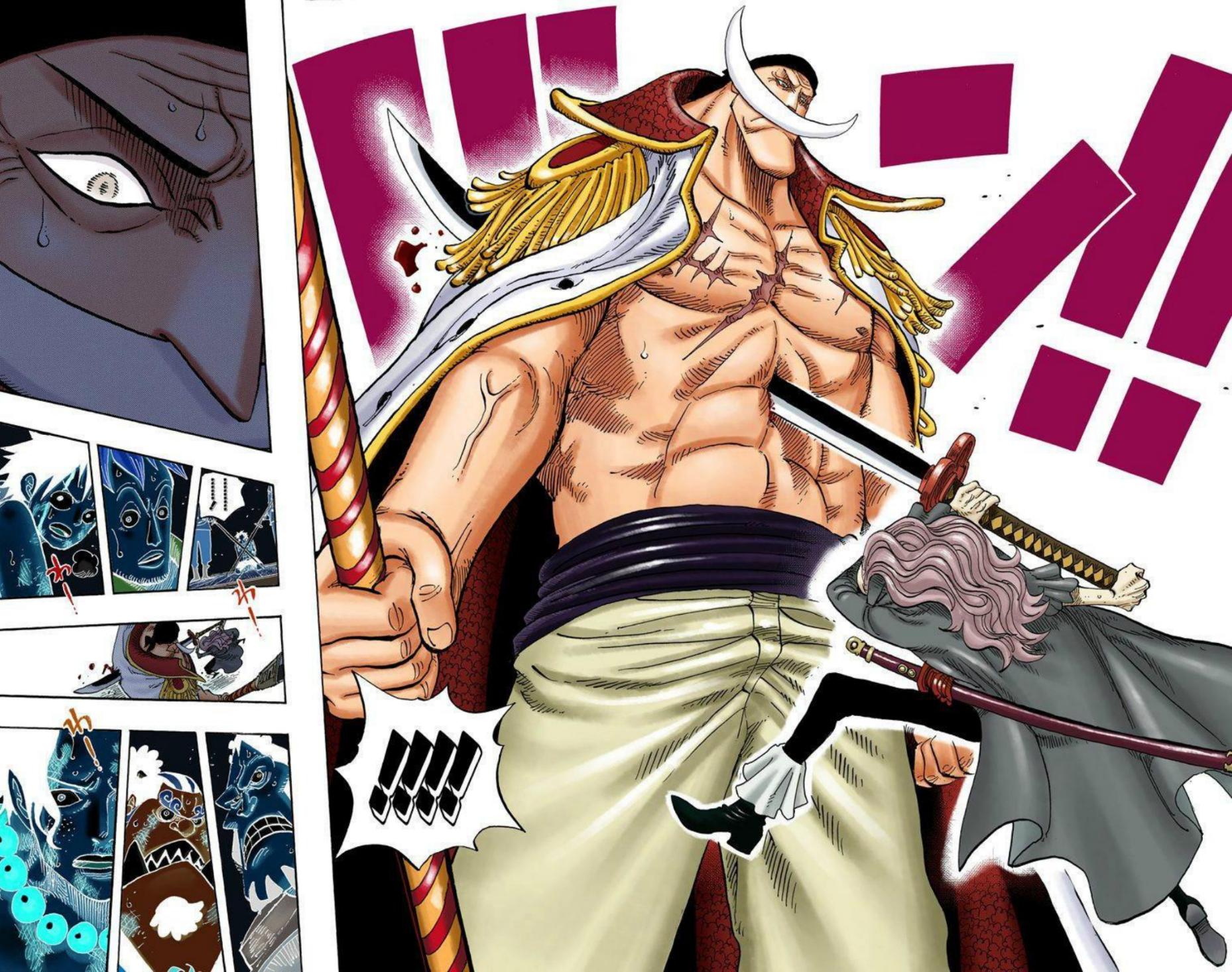 One Piece Volume 57 Page 143