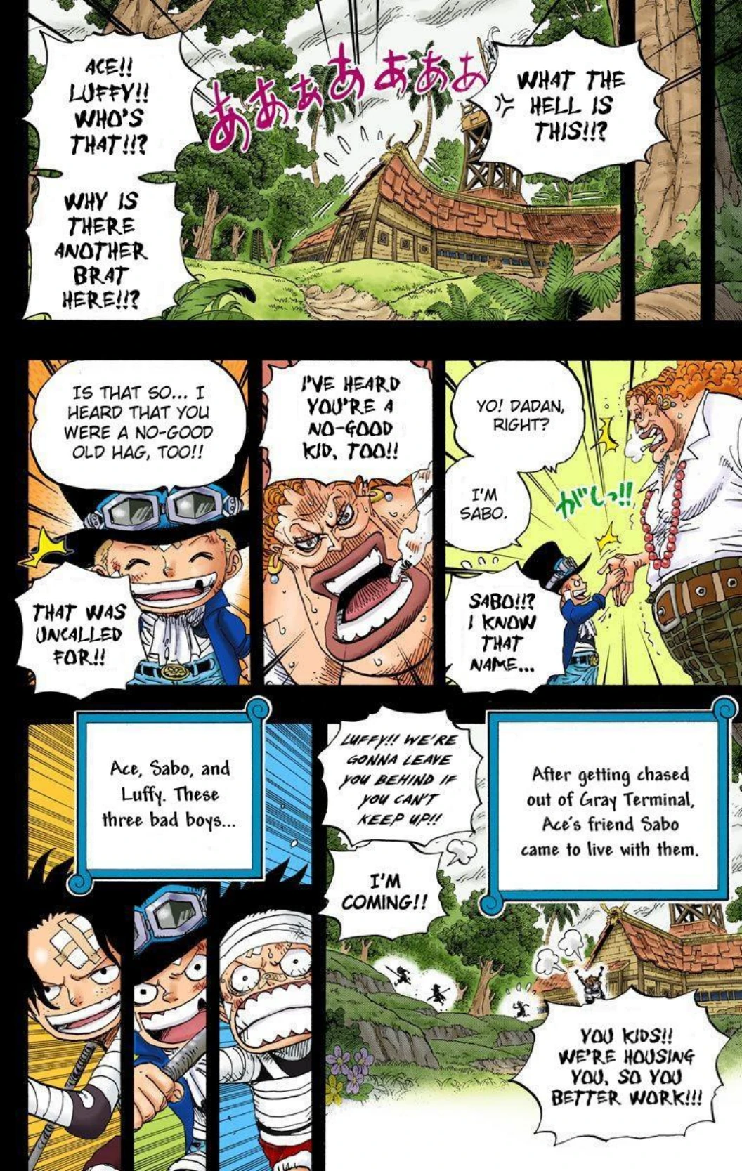 One Piece Volume 59 Page 161