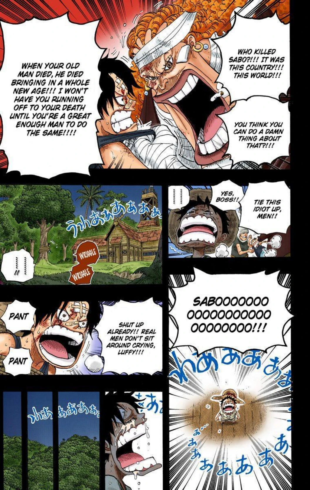One Piece Volume 60 Page 74