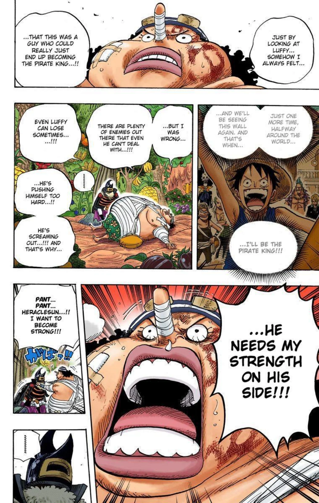 One Piece Volume 61 Page 36