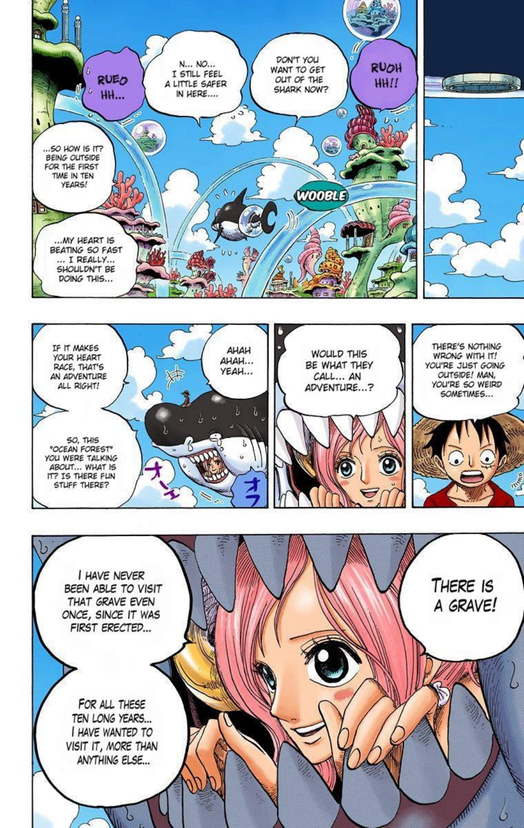 One Piece Volume 63 Page 17