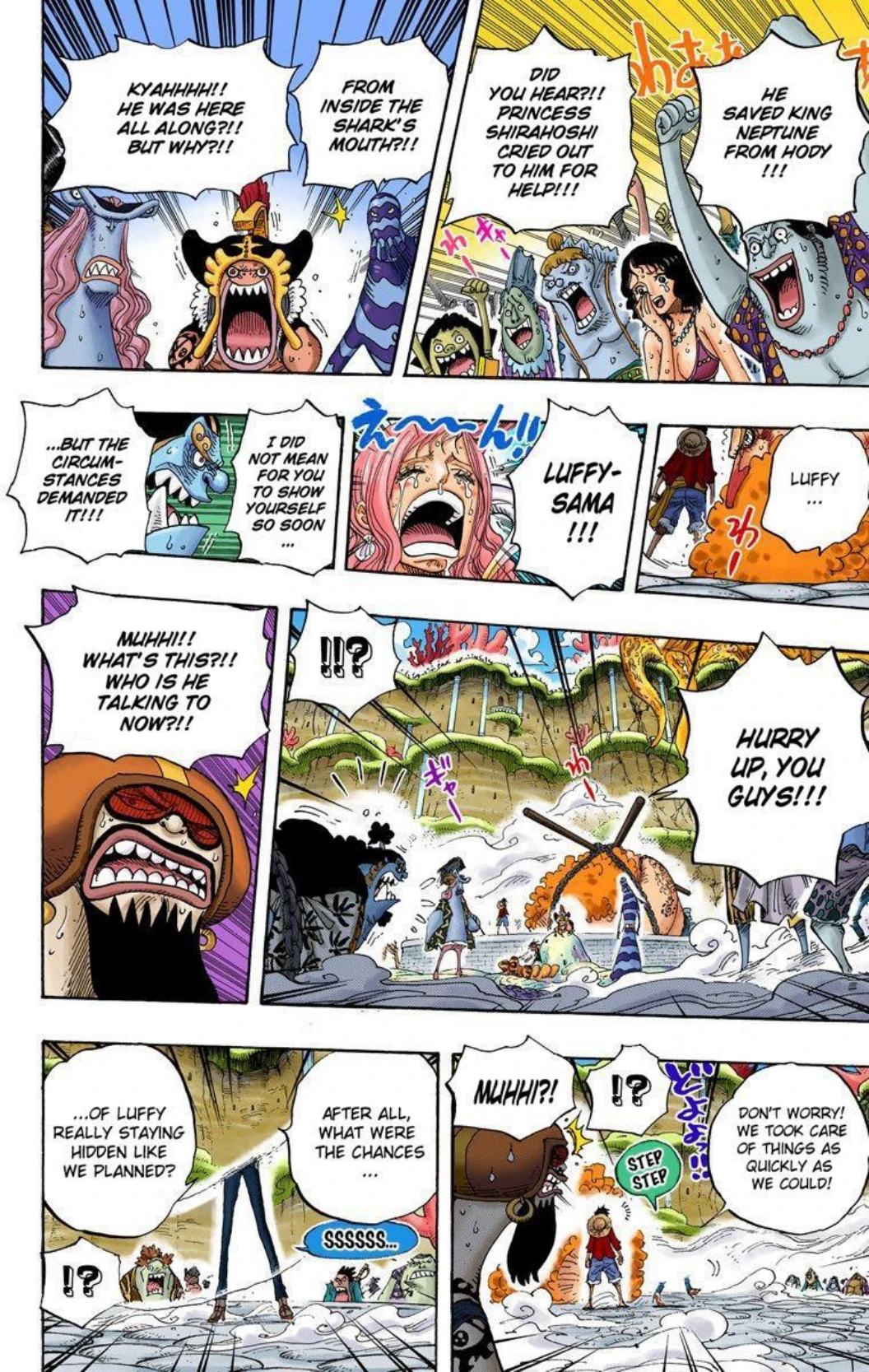 One Piece Volume 64 Page 117