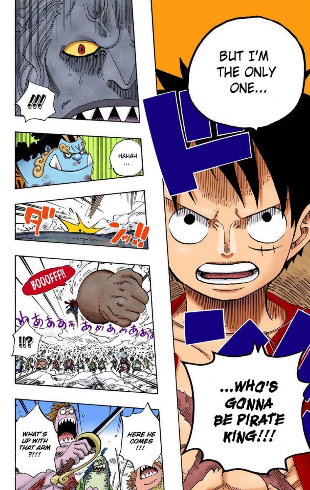 One Piece Volume 64 Page 135