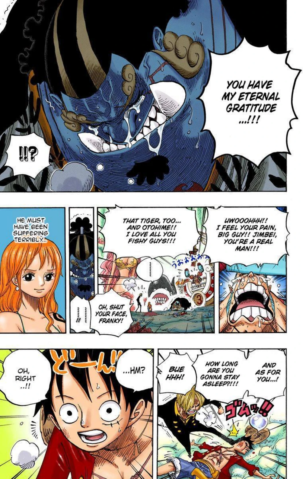 One Piece Volume 64 Page 15