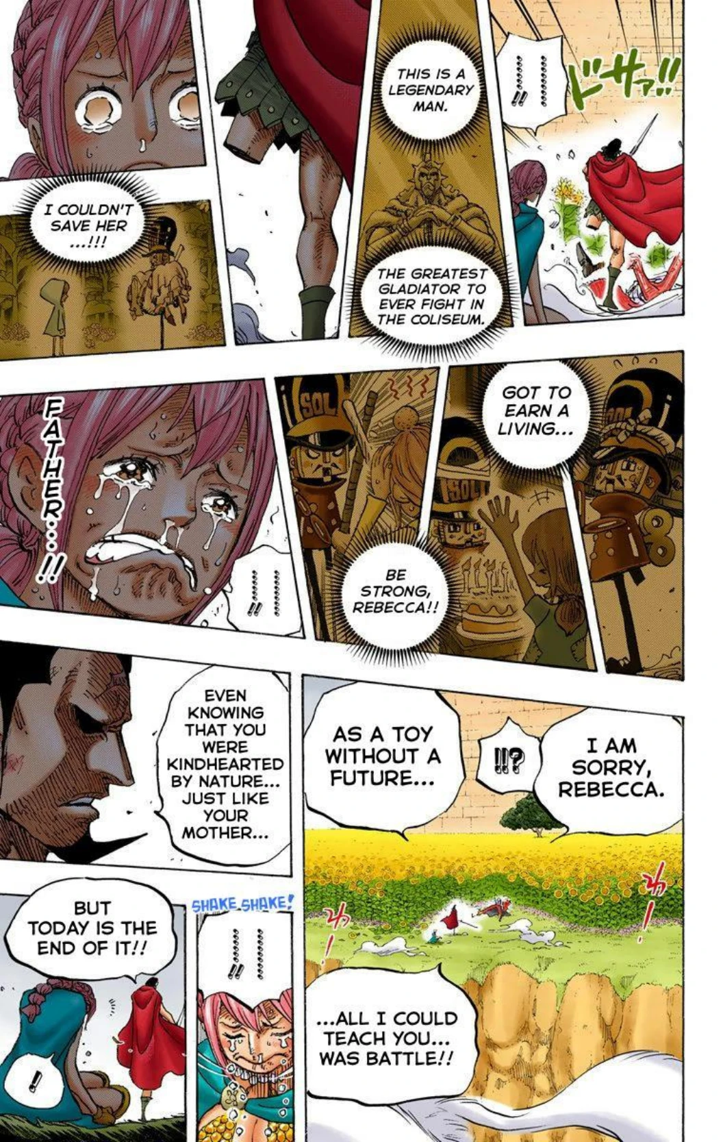 One Piece Volume 76 Page 80