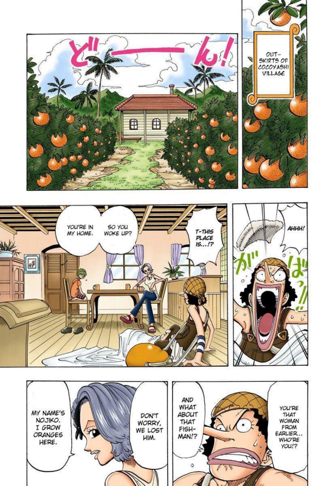 One Piece Volume 8 Page 145