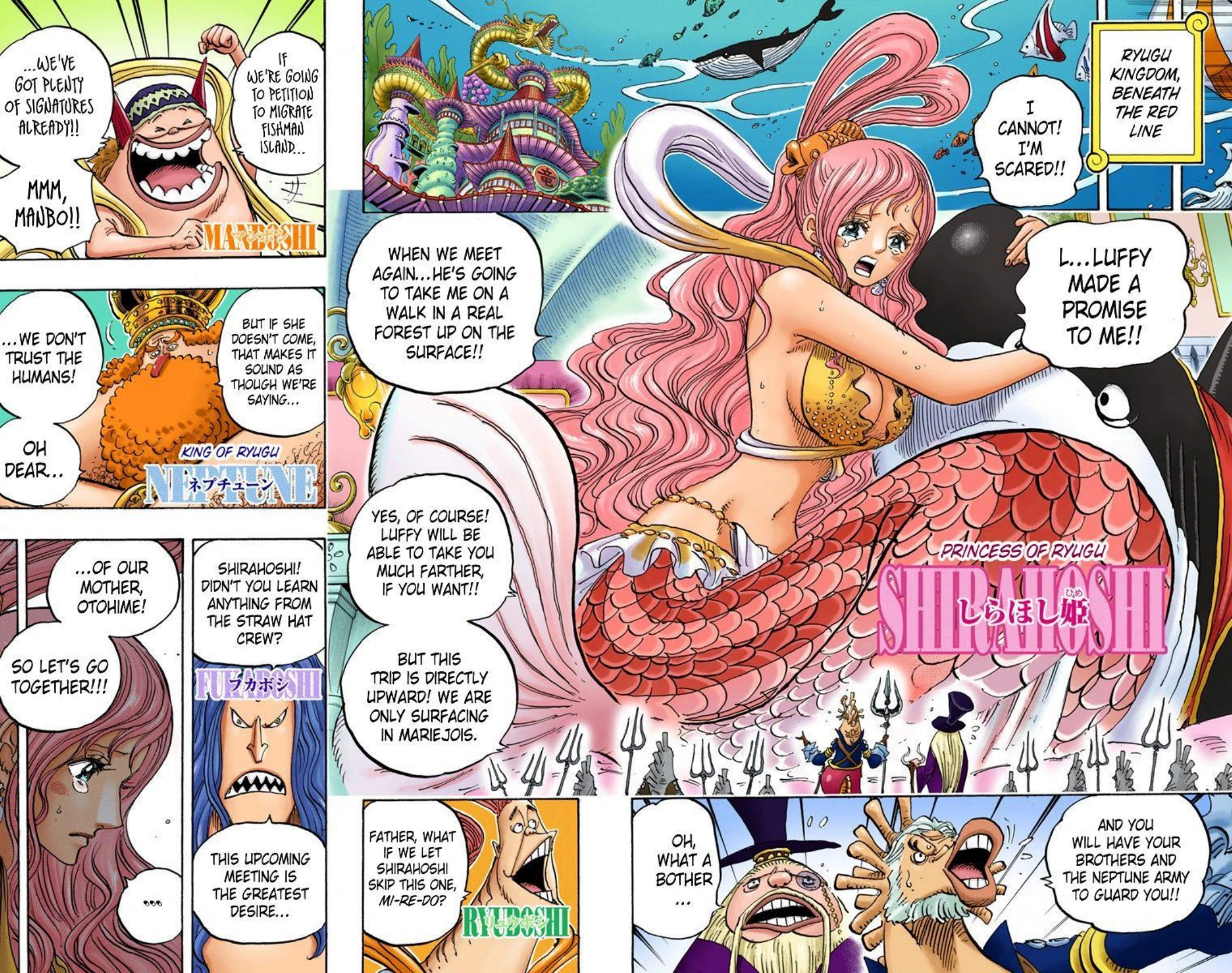 One Piece Volume 82 Page 113