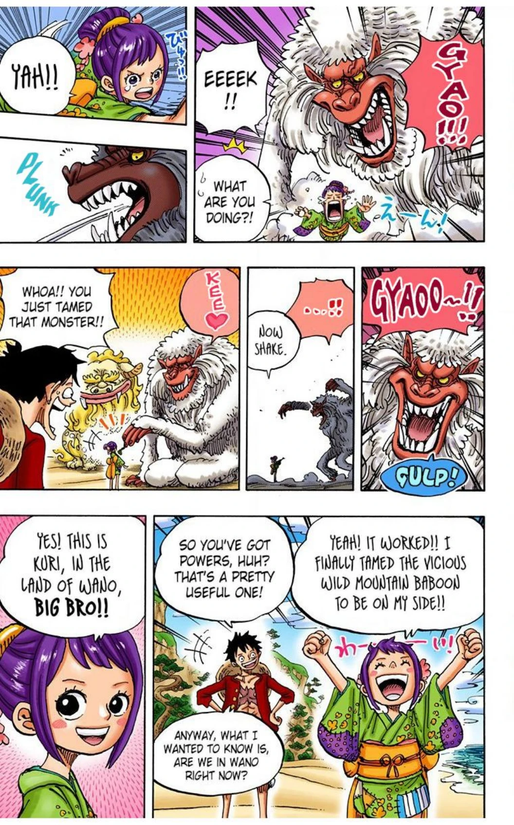 One Piece Volume 91 Page 13