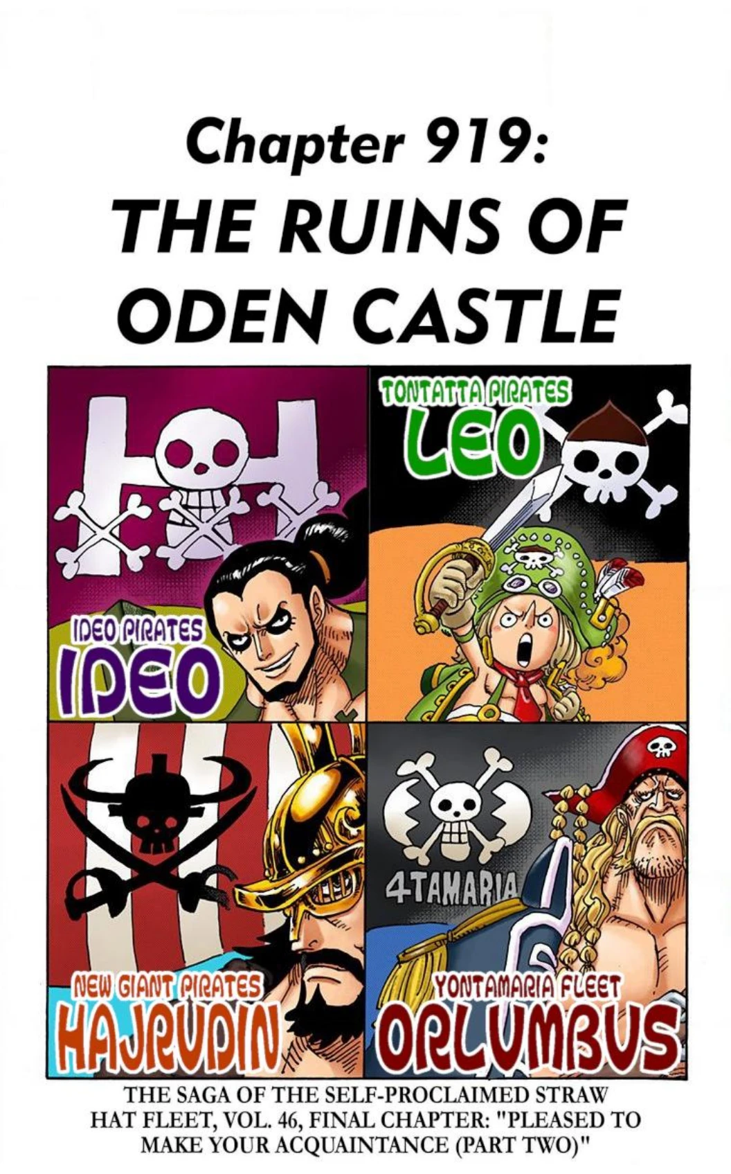 One Piece Volume 91 Page 135