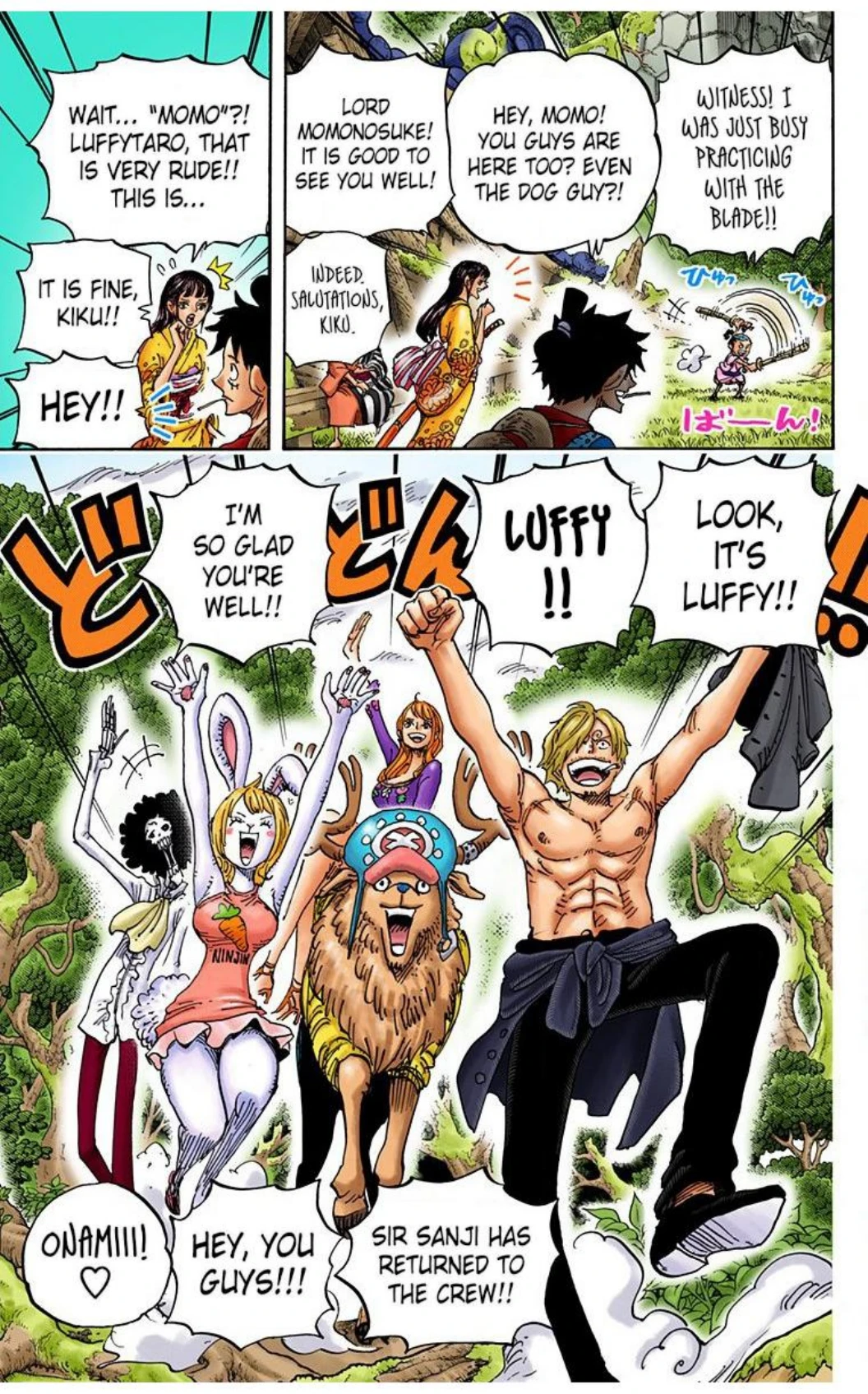 One Piece Volume 91 Page 147