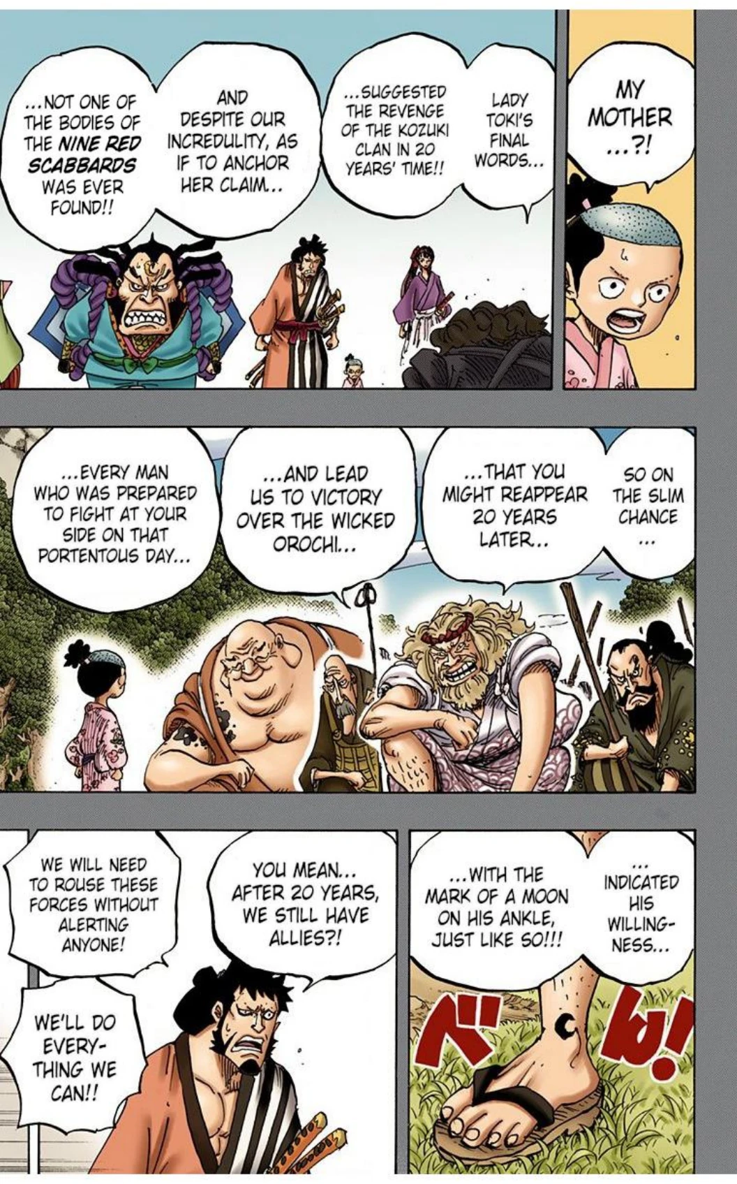 One Piece Volume 91 Page 161