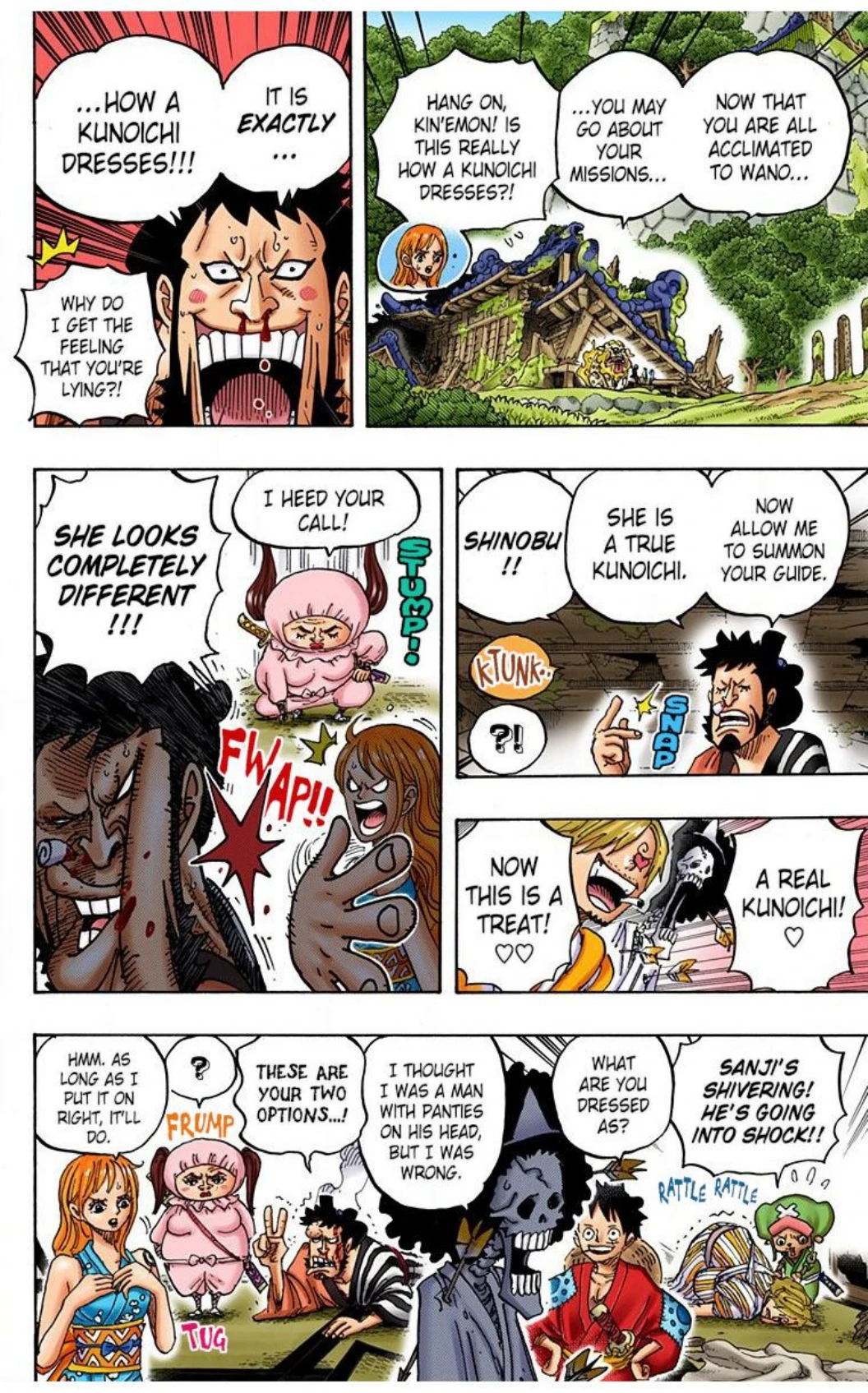 One Piece Volume 91 Page 172