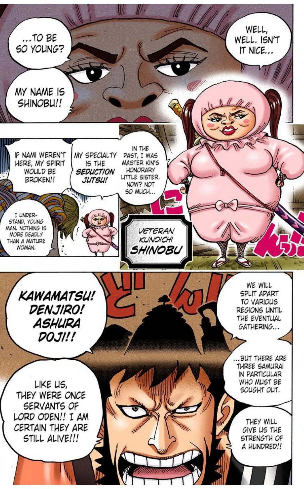 One Piece Volume 91 Page 173