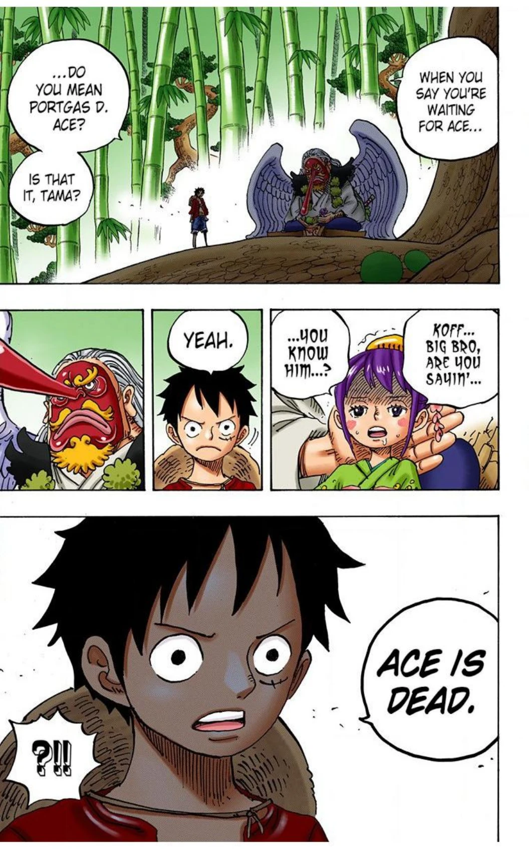 One Piece Volume 91 Page 22