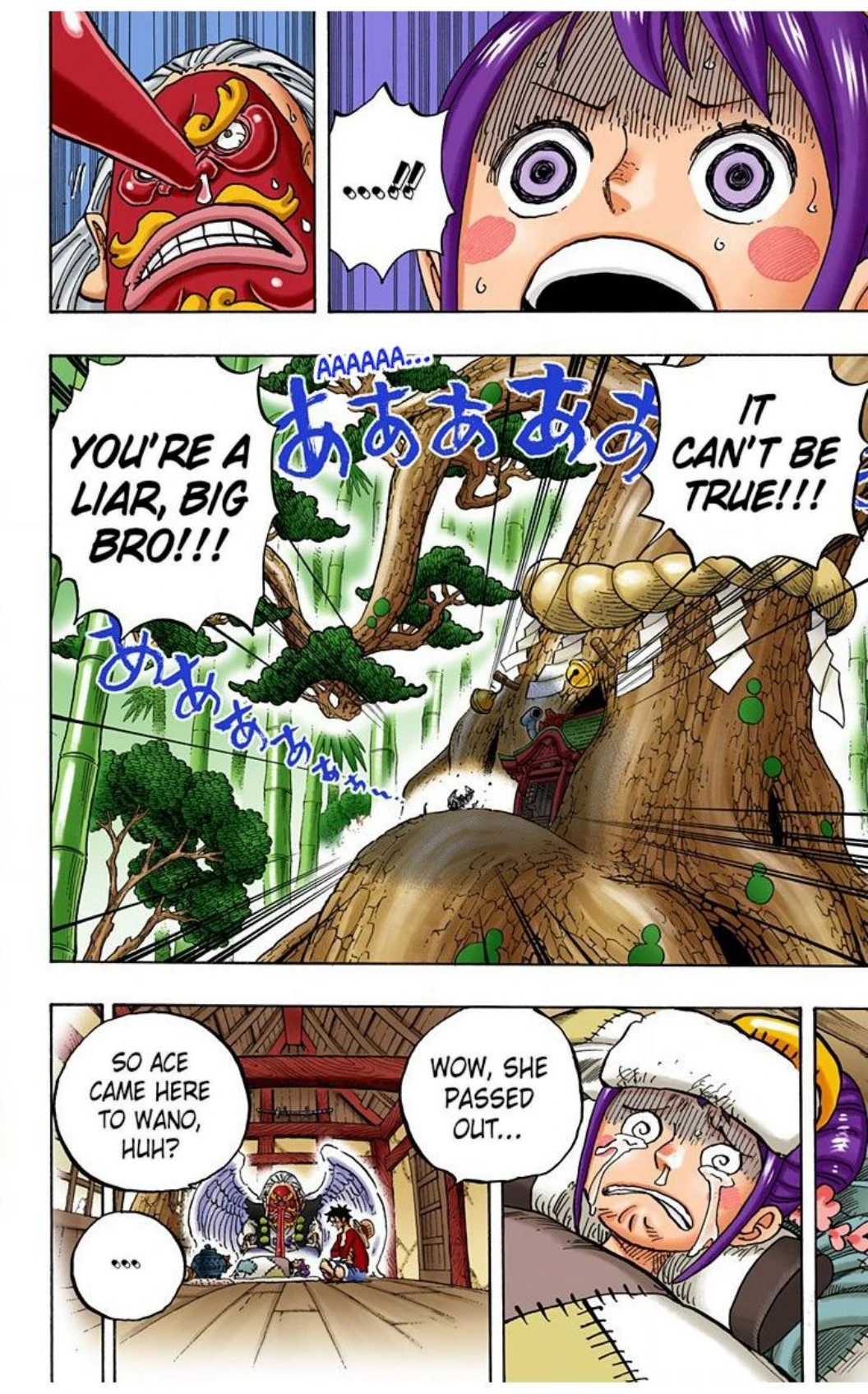 One Piece Volume 91 Page 23