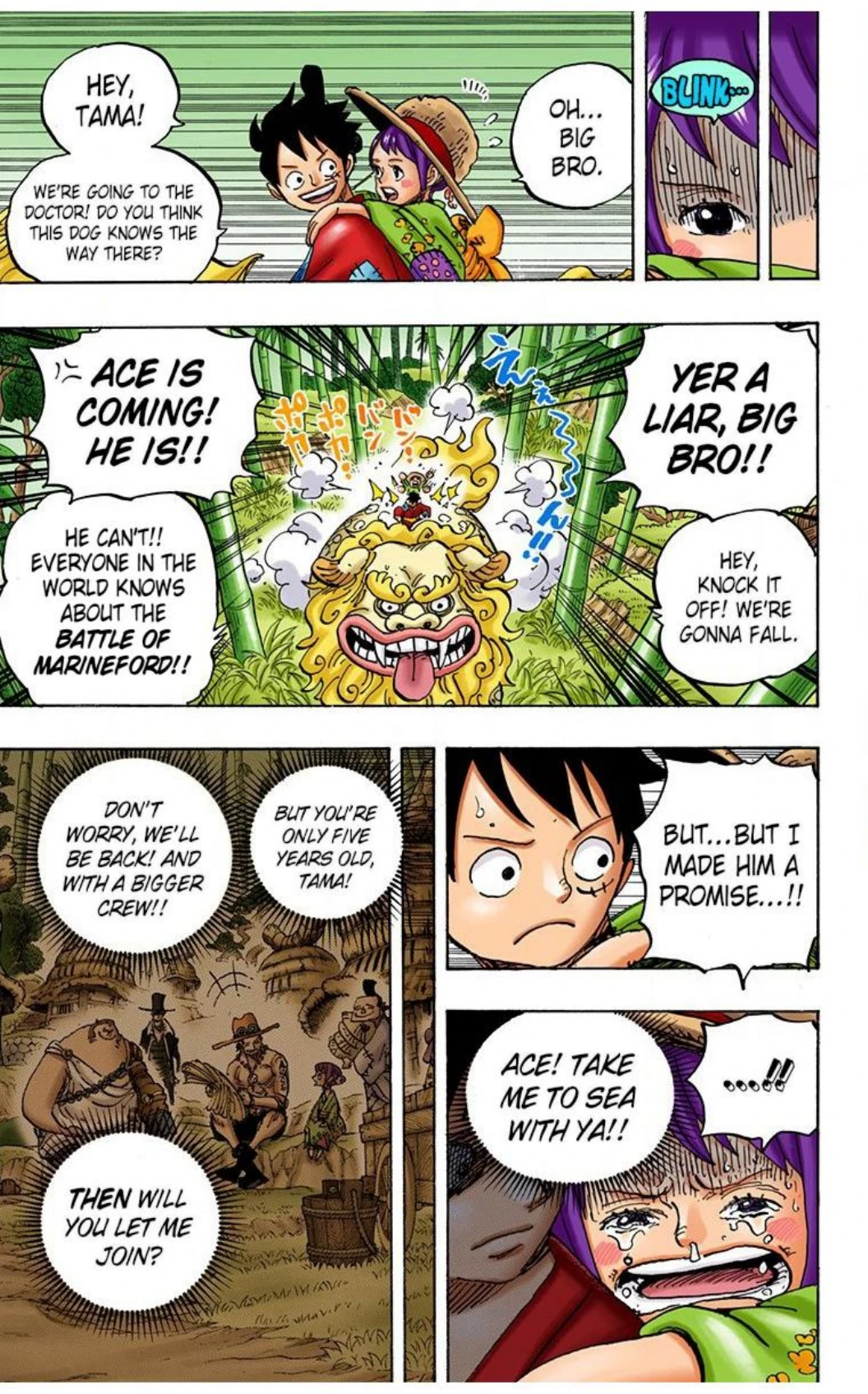 One Piece Volume 91 Page 30