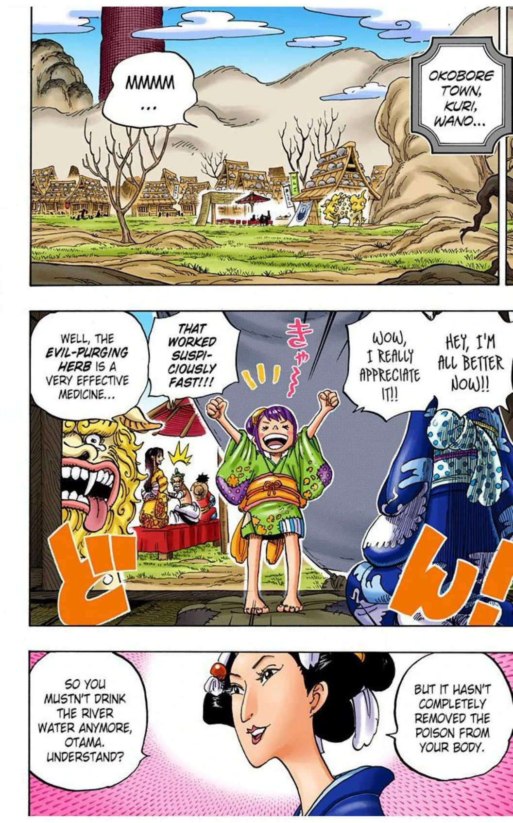One Piece Volume 91 Page 55