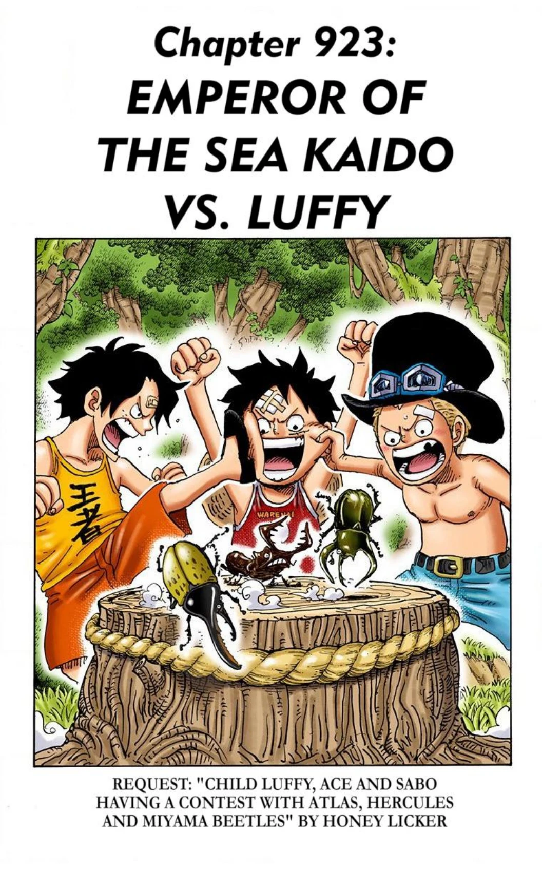 One Piece Volume 92 Page 17