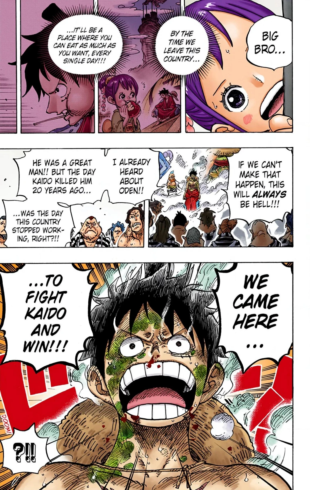 One Piece Volume 94 Page 110