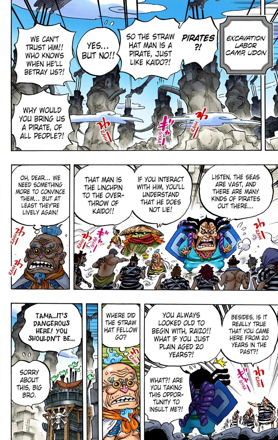 One Piece Volume 94 Page 117