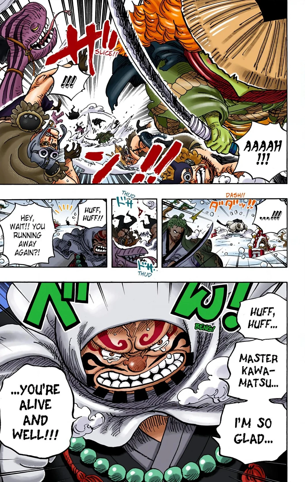 One Piece Volume 94 Page 160