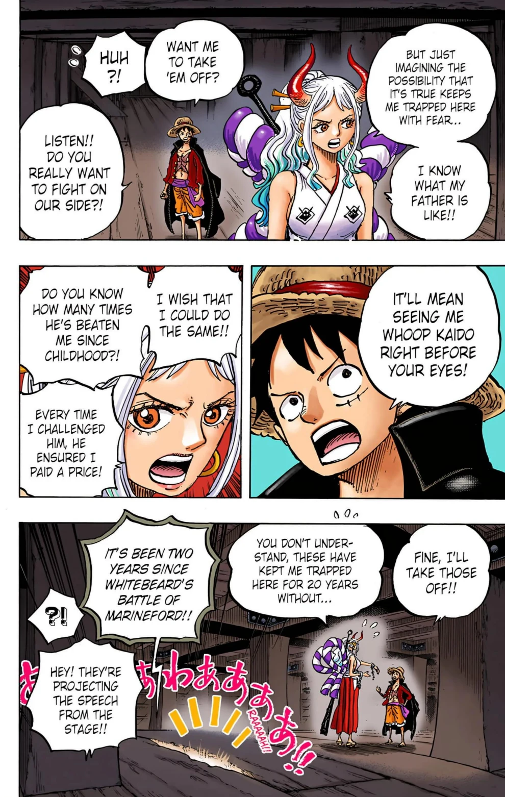One Piece Volume 98 Page 11