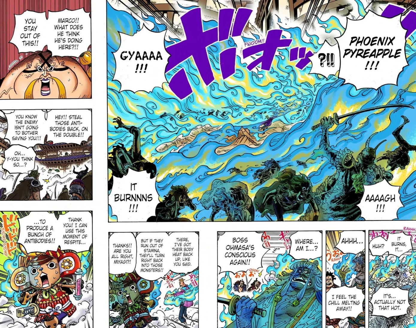 One Piece Volume 99 Page 55
